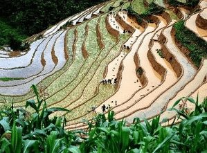 Văn hóa du lịch Mù Cang Chải Van hoa du lich Mu Cang Chai