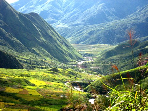 Canh sac hung vi duoi chan deo