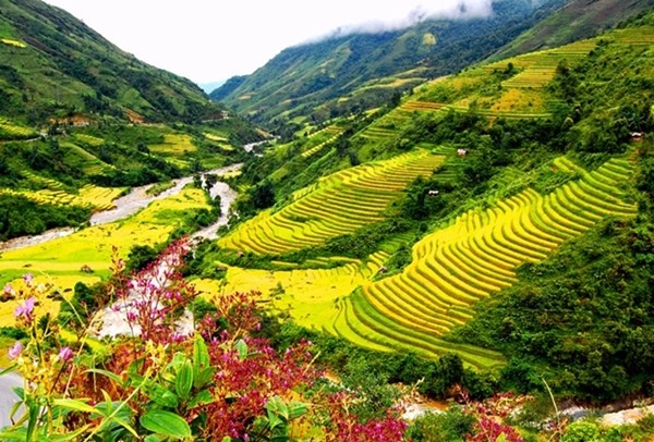 Chuong trinh Dem giao duyen Sa Pa
