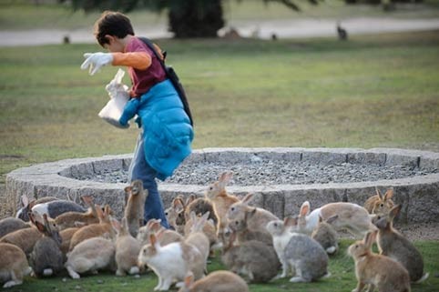 Dao Tho Okunoshima