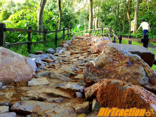 Khu bảo tồn thiên nhiên Bukit Timah Khu bao ton thien nhien Bukit Timah