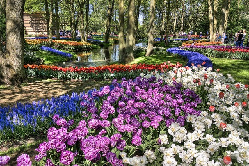 Khu vườn Keukenhof Khu vuon Keukenhof