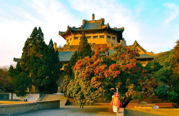 Trường đại học Vũ Hán Truong dai hoc Vu Han
