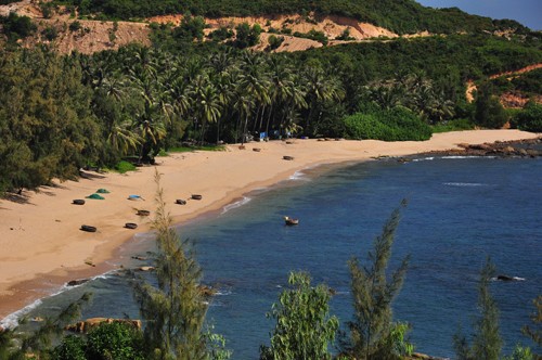 Bai bien Quy Nhon