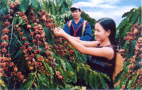Ca phe Buon Ma Thuot
