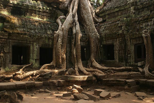 Đền thờ thiêng liêng Ta Prohm Den tho thieng lieng Ta Prohm