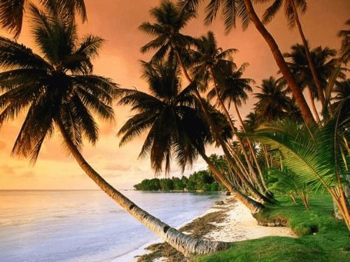 Khung cảnh hoang sơ ở Phú Quốc Khung canh hoang so o Phu Quoc
