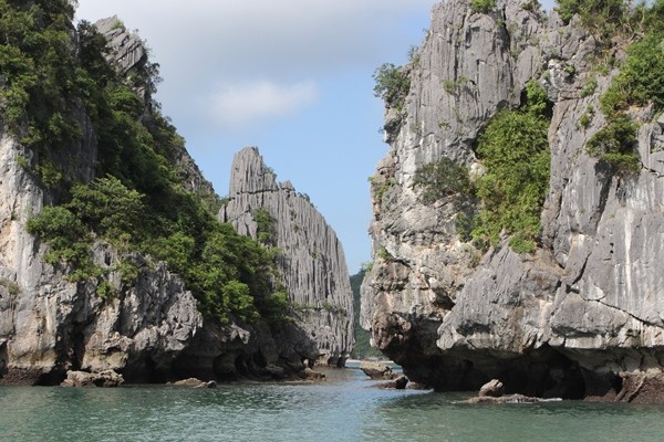 Nét hoang sơ của Vịnh Lan Hạ Net hoang so cua Vinh Lan Ha
