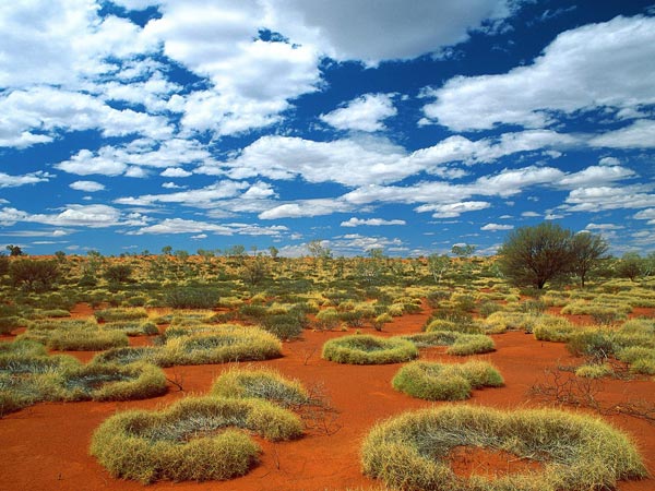 Bao ton thien nhien o Australia