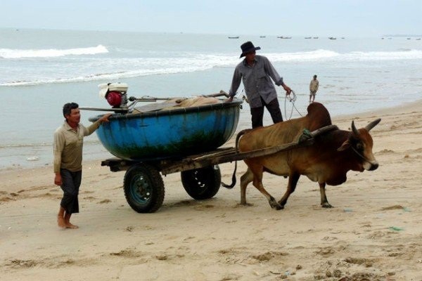 Biển Lagi phong phú sản vật Bien Lagi phong phu san vat