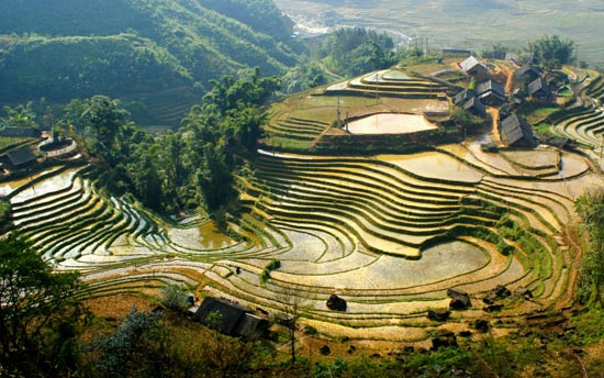 Lựa chọn phương tiện di chuyển trên Sa Pa Lua chon phuong tien di chuyen tren Sa Pa