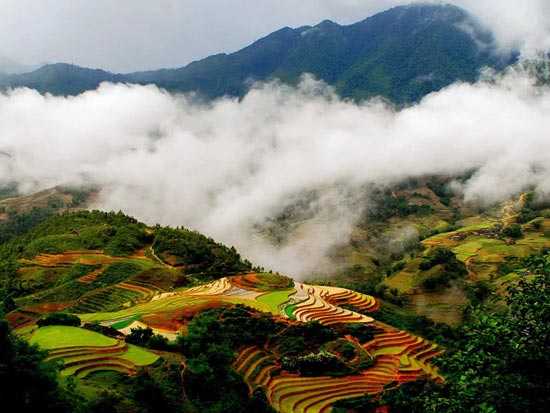 Nên mang theo thuốc khi đi du lịch Nen mang theo thuoc khi di du lich