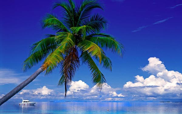 Du lich Maldives am ap