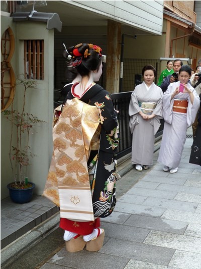 Maiko thu hút sự chú ý Maiko thu hut su chu y