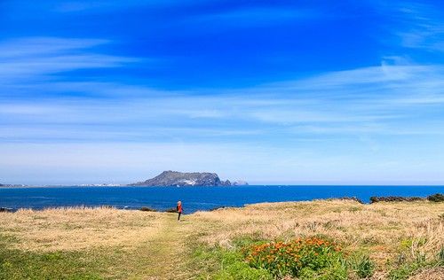 Biển xanh mây trắng nắng vàng Jeju Bien xanh may trang nang vang o Jeju