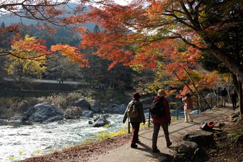 Cảnh đẹp ở Tokyo Canh dep o Tokyo