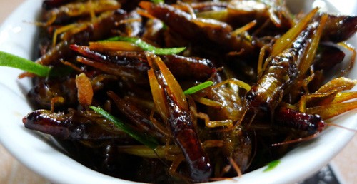 Chau chau rang
