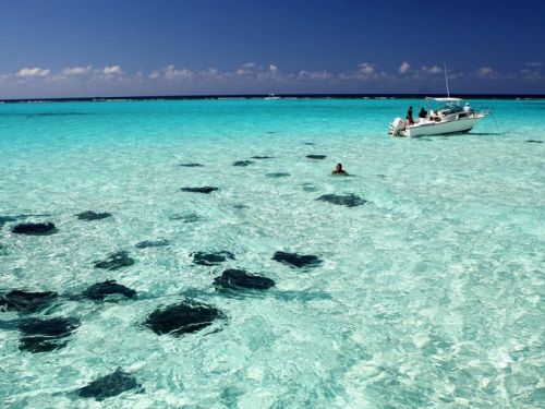 Du lich dao Grand Cayman