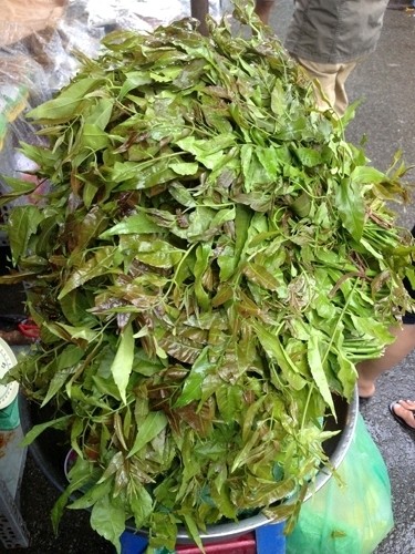Lá sầu đâu bán trong chợ La sau dau ban tong cho - Du lịch Nam Phuong