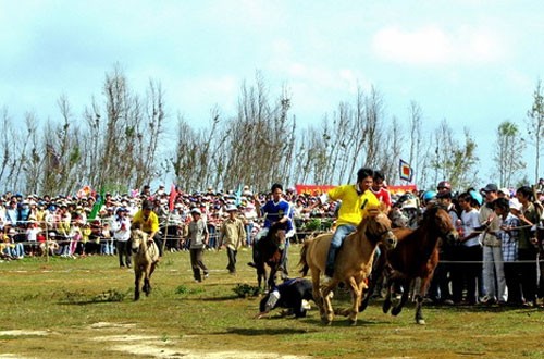 Tham gia đua ngựa ở Phú Yên Tham gia dua ngua o Phu Yen