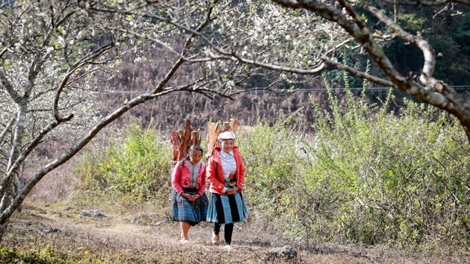 Thieu nu nguoi Mong