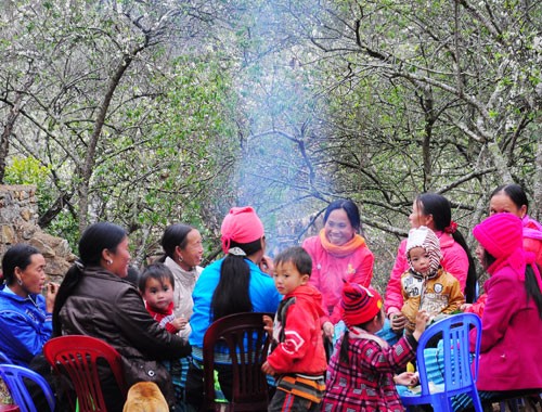 Tụ tập trò chuyện trong tiết xuân Tu tap tro chuyen trong tiet troi xuan