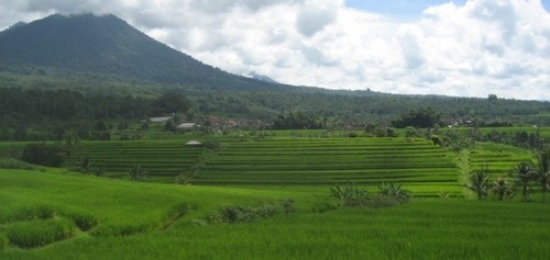Chi phí du lịch ở Bali Chi phi du lich o bali