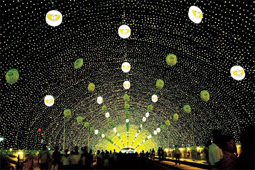 Lễ hội đom đóm Muju Le hoi dom dom Muju
