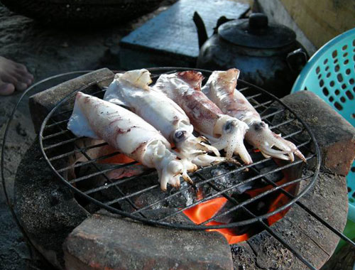 Mực nhảy hấp dẫn Muc nhay hap dan