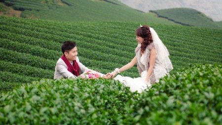 Những nương chè ở Mộc Châu Nhung nuong che o Moc Chau - Du lịch Nam Phuong