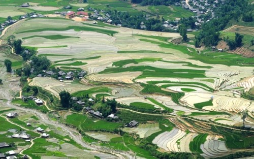 Cảnh đẹp ruộng bậc thang ở Tú Lệ Canh dep ruong bac thang o Tu Le