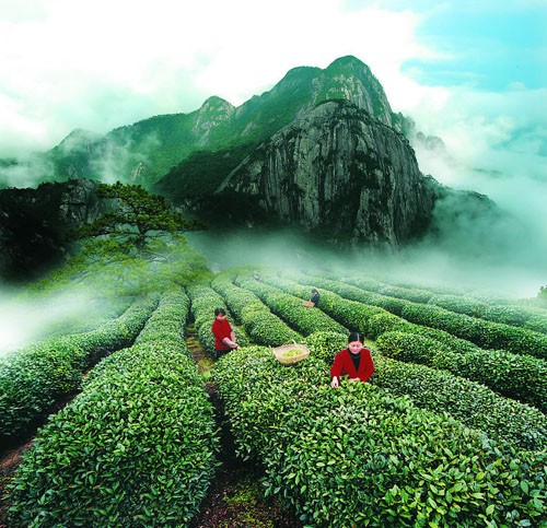 Du lịch thắng cảnh Vũ Di Du lich thang canh Vu Di