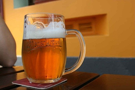 Lễ hội Pilsner Fest Le hoi Pilsner Fest