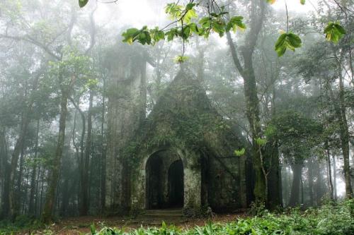 Thu gian tai vuon quoc gia Ba Vi