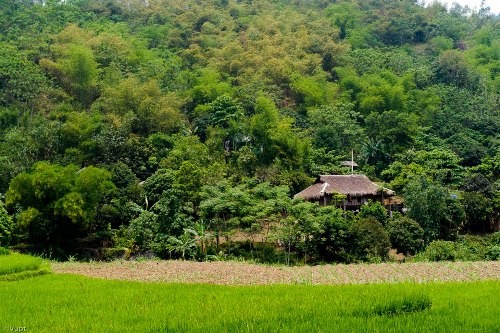 Chon binh yen o ban Muong Giang Mo