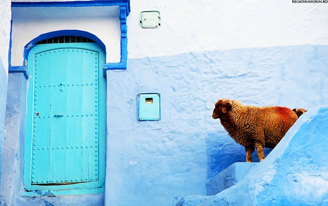 Chefchaouen hap dan khach du lich