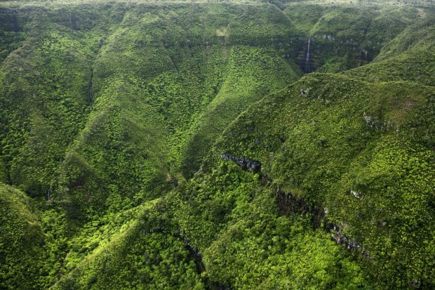 Vuon quoc gia Black River Gorges