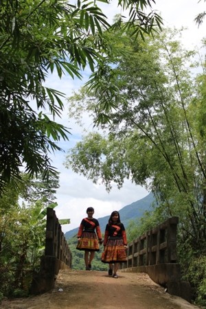 Pom Pu giong nhu ngoi lang co