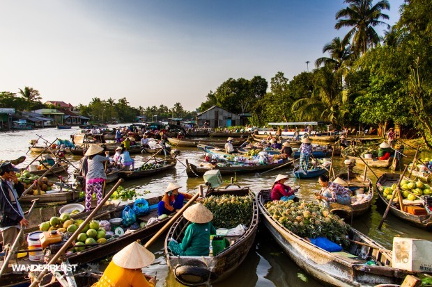 Cho noi (2)