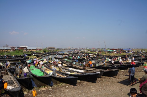 Cho noi (4)