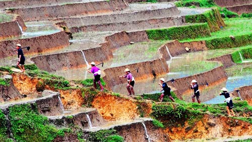 thien duong Bac Son (7)