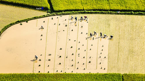 thien duong Bac Son (8)