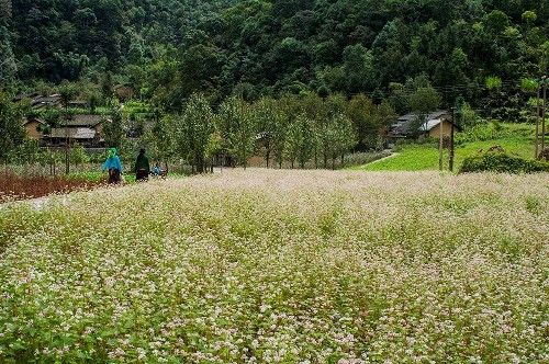 trai nghiem Ha Giang (4)