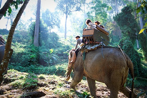 chiang-mai-1-4602-1418617053