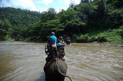 chiang-mai-7-3645-1418617055