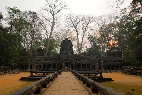 ta-prohm-2-4136-1404286516