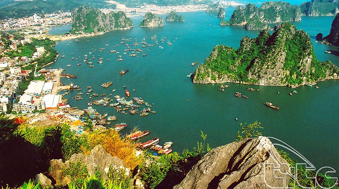 VinhHalong