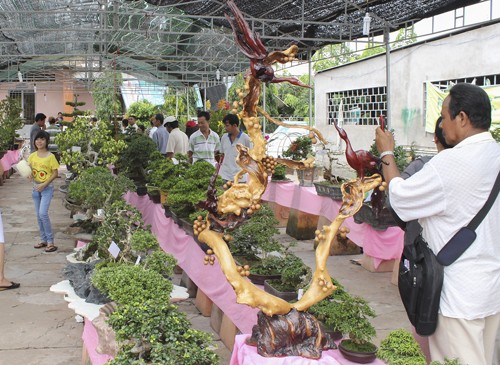 ngayhoitraingon