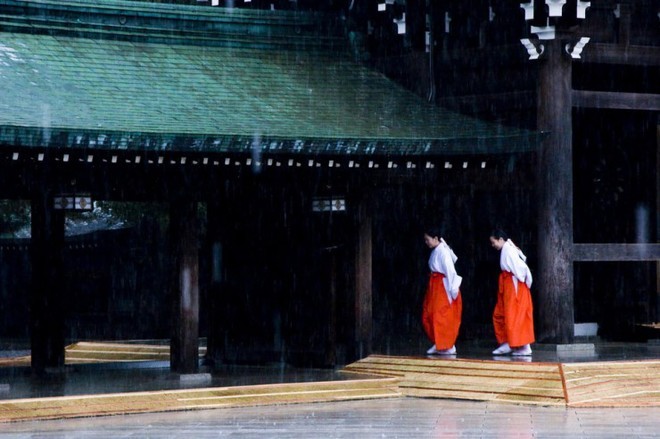 Tham den Meiji Shrine